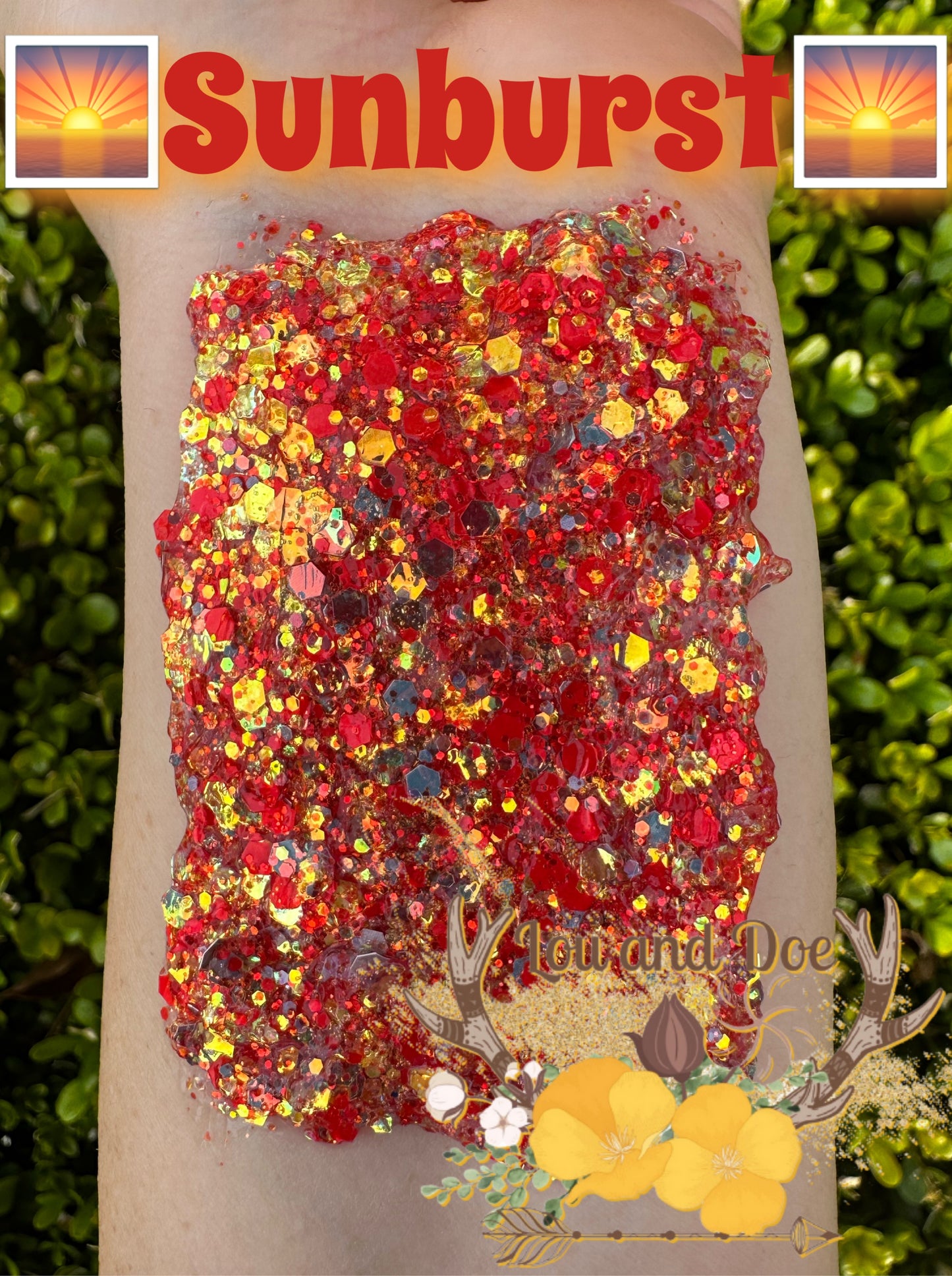 🌅Sunburst🌅