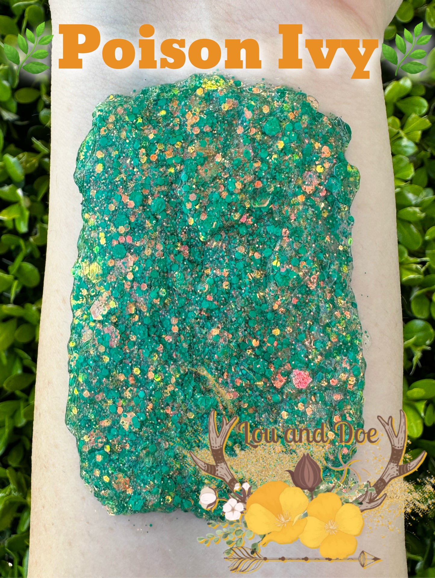 🌿Poison Ivy🌿