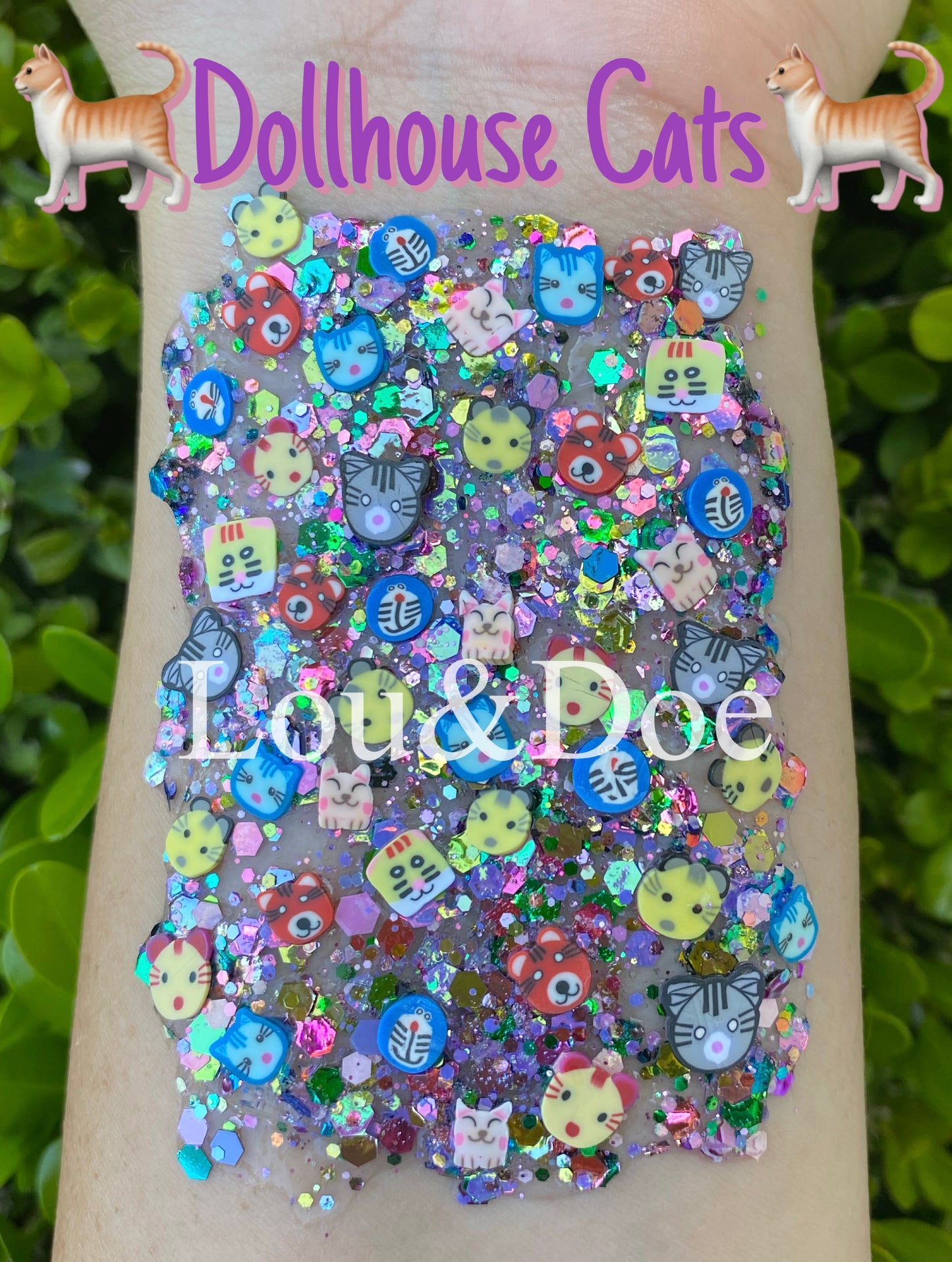 🐈Dollhouse Cats🐈