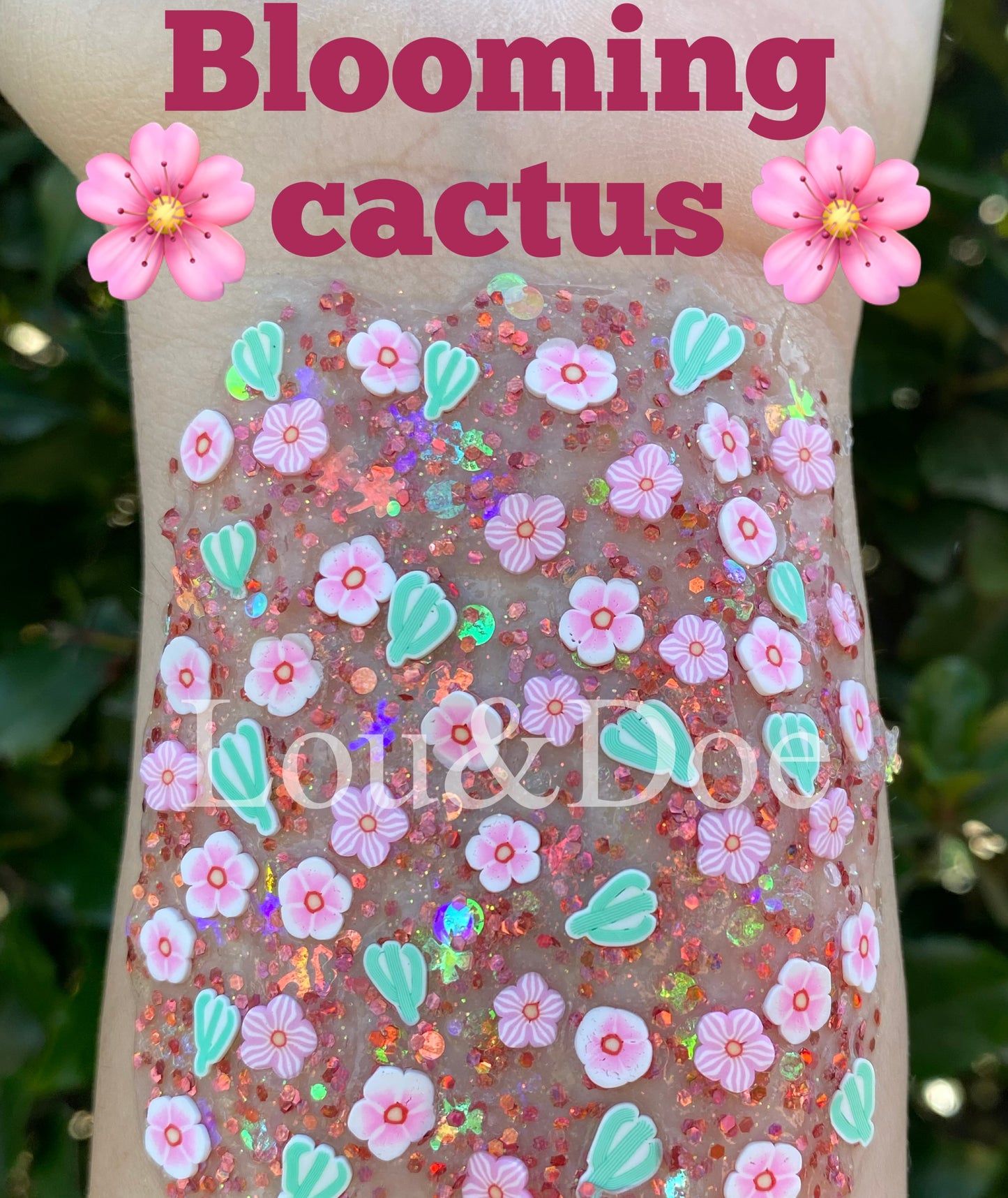 🌸Blooming Cactus🌸